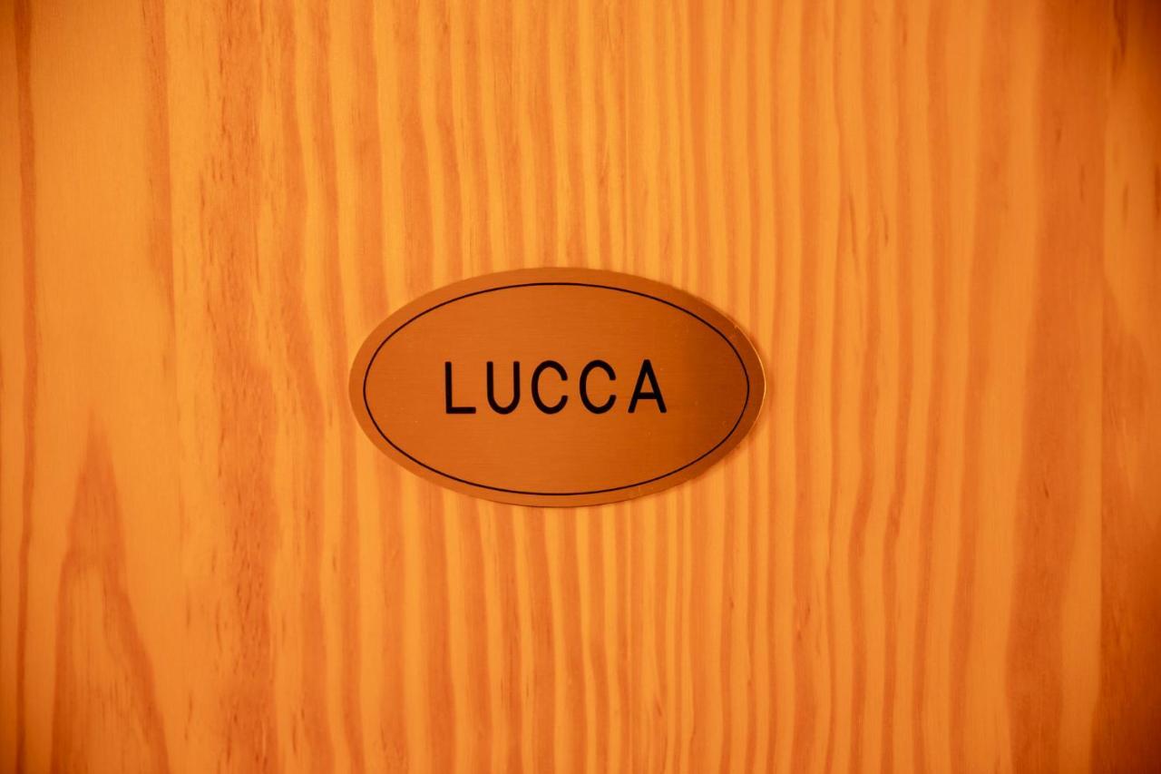 Podere Midolla Carmignano Bagian luar foto
